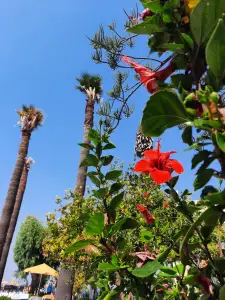 Jacquelien 06 Elke dag een mooie dag hier